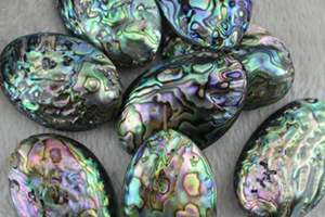 鮑魚珍珠多少錢一顆？鮑魚珍珠市場(chǎng)價(jià)值