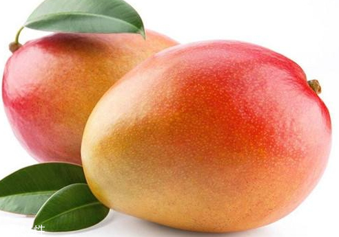 貴妃芒怎么吃 貴妃芒生吃方法 貴妃芒怎么吃 貴妃芒生吃方法