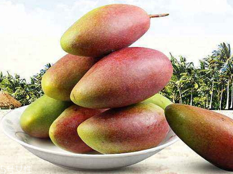 貴妃芒產(chǎn)地 貴妃芒是哪里的特產(chǎn) 貴妃芒產(chǎn)地 貴妃芒是哪里的特產(chǎn)