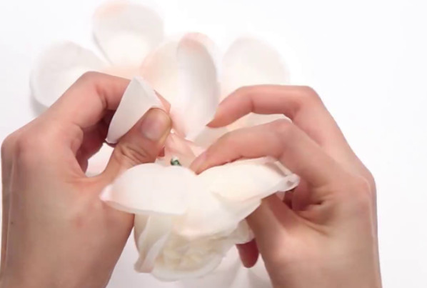 花瓣腮紅怎么做 花瓣腮紅自制教程 花瓣腮紅怎么做 花瓣腮紅自制教程