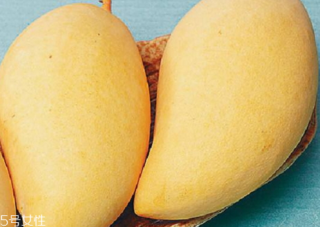 水仙芒果什么季節(jié)成熟 水仙芒產(chǎn)地在哪里 水仙芒果什么季節(jié)成熟 水仙芒產(chǎn)地在哪里