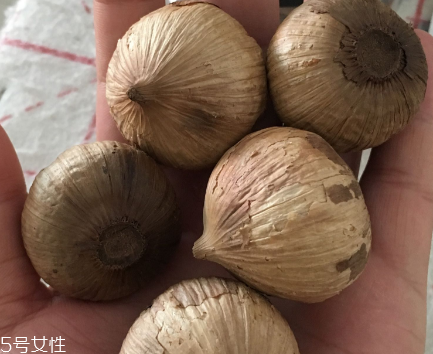 黑蒜怎么吃？黑蒜最好吃的吃法