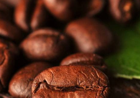 咖啡豆多少錢一斤 咖啡豆最新價(jià)格行情