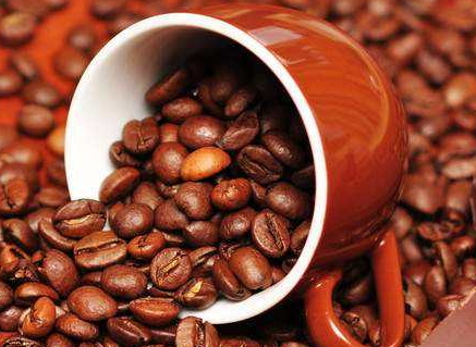 咖啡豆多少錢一斤 咖啡豆最新價(jià)格行情