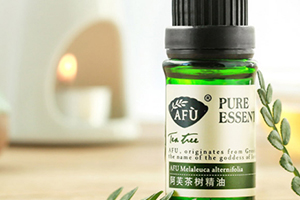 茶樹精油的功效與作用 茶樹精油的功效與作用