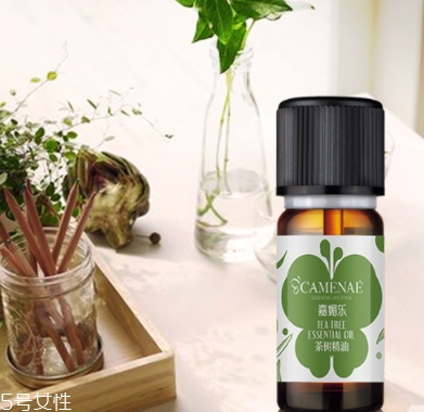 茶樹精油可以治婦科病嗎？茶樹精油怎么治婦科病