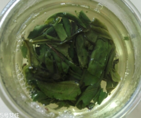 六安瓜片是紅茶還是綠茶？