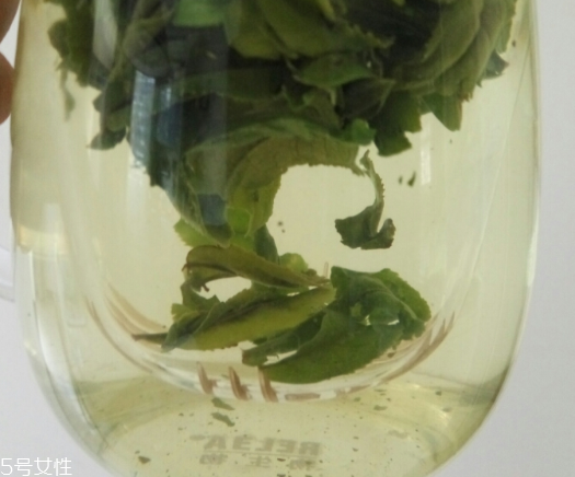 六安瓜片是紅茶還是綠茶？