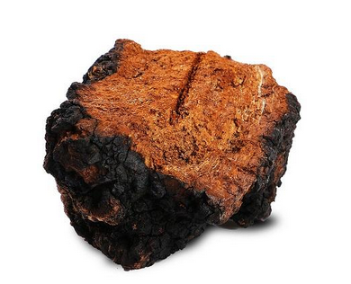 樺樹茸價格 樺樹茸會不會很貴 樺樹茸價格 樺樹茸會不會很貴