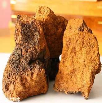 樺樹(shù)茸怎么吃？樺樹(shù)茸正確吃法