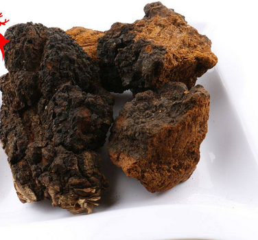 樺樹(shù)茸怎么吃？樺樹(shù)茸正確吃法