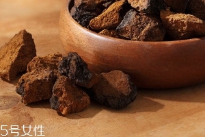 樺樹茸是樹黃嗎？樺樹茸屬于什么