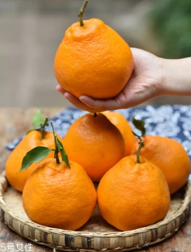 耙耙柑的功效與作用 耙耙柑營養(yǎng) 耙耙柑的功效與作用 耙耙柑營養(yǎng)
