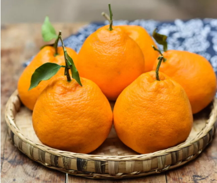 耙耙柑和不知火哪個好？耙耙柑和不知火區(qū)別