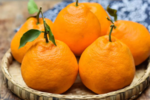 耙耙柑可以和牛奶一起吃嗎？耙耙柑和牛奶一起吃的壞處