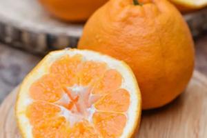 耙耙柑可以放多久？耙耙柑怎么保存