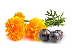 吃葉黃素對眼睛好嗎 吃葉黃素有什么好處 吃葉黃素對眼睛好嗎 吃葉黃素有什么好處