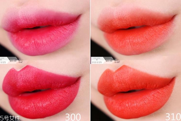 雅詩蘭黛戀愛300和310哪個(gè)好 300和310對(duì)比試色