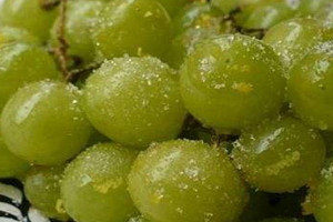 白葡萄酒能兌雪碧嗎 白葡萄酒搭配建議 白葡萄酒能兌雪碧嗎 白葡萄酒搭配建議