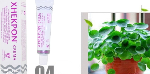 xhekpon頸紋霜孕婦可以用嗎？西班牙頸紋霜懷孕可用嗎