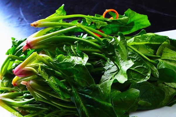 菠菜怎么焯水才不變色 菠菜怎么焯水才鮮亮 菠菜怎么焯水才不變色 菠菜怎么焯水才鮮亮