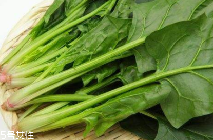 菠菜怎么焯水才不變色 菠菜怎么焯水才鮮亮 菠菜怎么焯水才不變色 菠菜怎么焯水才鮮亮