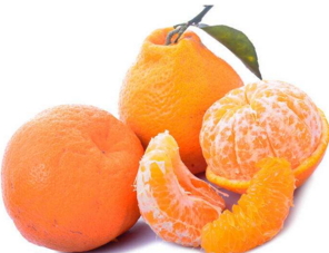 丑八怪是涼性的嗎？丑八怪是熱性還是涼性