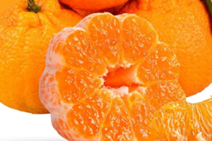 丑八怪可以放冰箱嗎？丑八怪怎么保存