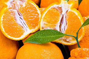 丑柑適合什么地方種植？丑柑上市時(shí)間