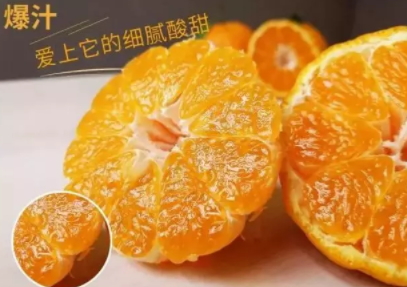 丑柑適合什么地方種植？丑柑上市時間