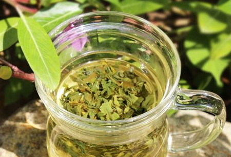 碧螺春什么時候上市 碧螺春的采摘時間 碧螺春什么時候上市 碧螺春的采摘時間