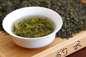 碧螺春什么時候上市 碧螺春的采摘時間 碧螺春什么時候上市 碧螺春的采摘時間