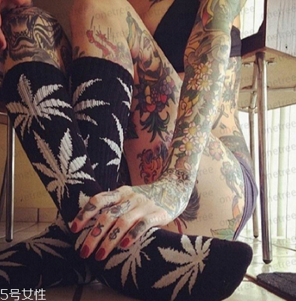 楓葉襪子正品多少錢？楓葉襪子價格詳情