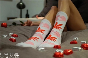 楓葉襪子正品多少錢？楓葉襪子價格詳情