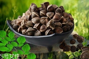 辣木籽能治口臭嗎？口臭吃辣木籽好嗎？