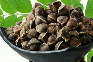 辣木籽哪里產的好？哪里的辣木籽最好？