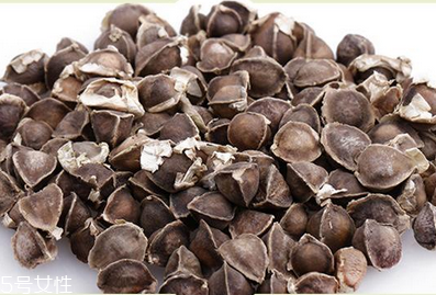 辣木籽哪里產的好？哪里的辣木籽最好？