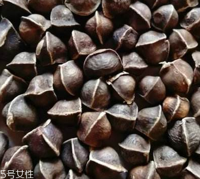 辣木籽哪里產的好？哪里的辣木籽最好？