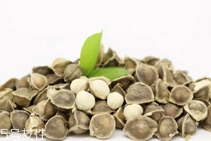 辣木籽是藥材嗎？辣木籽屬于什么？