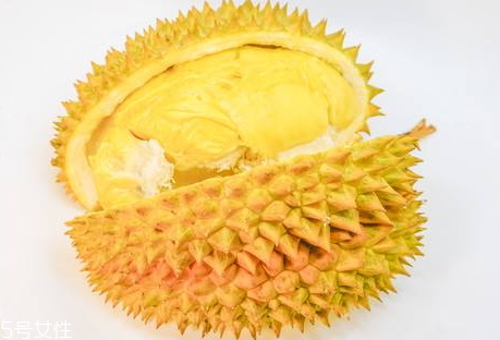 托曼尼和甲侖哪個(gè)好吃 托曼尼和貓山王的區(qū)別 托曼尼和甲侖哪個(gè)好吃 托曼尼和貓山王的區(qū)別