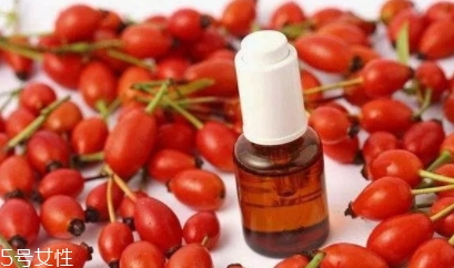 玫瑰果油可以天天用嗎？玫瑰果油多久用一次