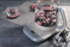 養(yǎng)生壺可以煮燕窩嗎？養(yǎng)生壺怎么煮燕窩