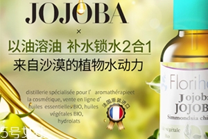 荷荷巴油和玫瑰果油哪個好？霍霍巴油和玫瑰果油對比