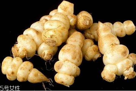 地筍怎么吃 地筍好吃嗎 地筍怎么吃 地筍好吃嗎