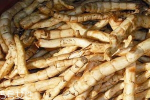 地筍怎么吃 地筍好吃嗎 地筍怎么吃 地筍好吃嗎