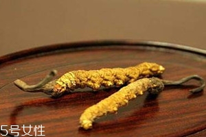 白蟲草價(jià)格多少錢一斤 白蟲草最新價(jià)格行情 白蟲草價(jià)格多少錢一斤 白蟲草最新價(jià)格行情