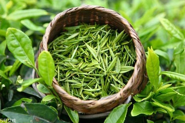 伊索綠茶調(diào)理液適合油皮嗎 aesop綠茶調(diào)理液適合膚質(zhì) 伊索綠茶調(diào)理液適合油皮嗎 aesop綠茶調(diào)理液適合膚質(zhì)