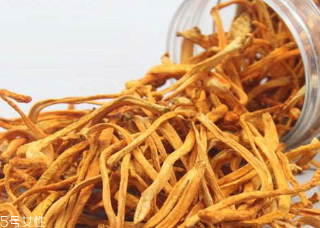 蟲草花不能和什么一起吃 蟲草花相克食物 蟲草花不能和什么一起吃 蟲草花相克食物