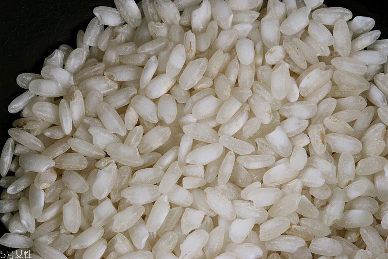 意大利燉飯用什么米好 意大利燉飯用什么米好