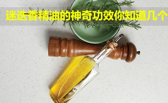 迷迭香精油可以泡腳嗎？迷迭香精油泡腳配方